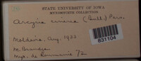 Image Associated With the Occurrence